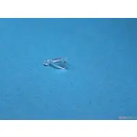 1/144 Scale Model Kit - Missile