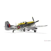 1/48 Scale Model Kit - Fighter aircraft model kits / North American P-51 Mustang