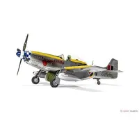 1/48 Scale Model Kit - Fighter aircraft model kits / North American P-51 Mustang