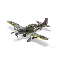 1/48 Scale Model Kit - Fighter aircraft model kits / North American P-51 Mustang