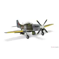1/48 Scale Model Kit - Fighter aircraft model kits / North American P-51 Mustang