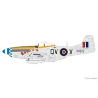 1/48 Scale Model Kit - Fighter aircraft model kits / North American P-51 Mustang