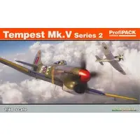 1/48 Scale Model Kit - Fighter aircraft model kits / Hawker Tempest