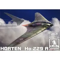 1/144 Scale Model Kit - Fighter aircraft model kits / Horten Ho 229