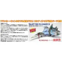 1/72 Scale Model Kit - Aviation Models Specialty Series