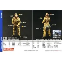 1/48 Scale Model Kit - Fighter aircraft model kits / Curtiss P-36 Hawk