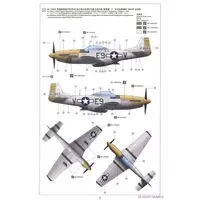 1/48 Scale Model Kit - Fighter aircraft model kits / North American P-51 Mustang