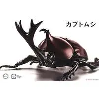 Plastic Model Kit - Insect