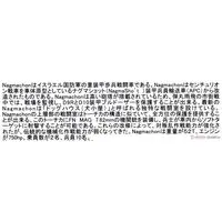 1/35 Scale Model Kit - Israel Defense Forces