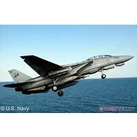 1/100 Scale Model Kit - Fighter aircraft model kits / F-14