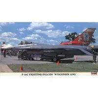 1/48 Scale Model Kit - Fighter aircraft model kits / F-16 Fighting Falcon