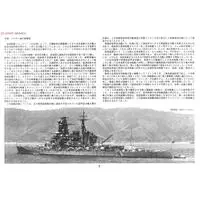 I.J.N. BATTLE SHIP KIRISHIMA RETAKE Model Kit