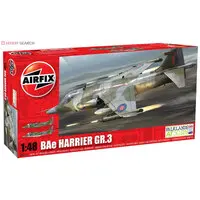 1/48 Scale Model Kit - Fighter aircraft model kits / British Aerospace Sea Harrier