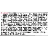 1/700 Scale Model Kit - SKY WAVE