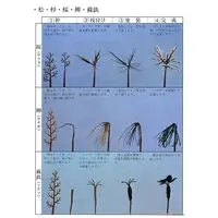 Plastic Model Kit - Castle / Nagoya Castle