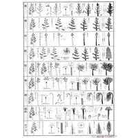 Plastic Model Kit - Castle / Nagoya Castle