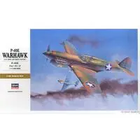 1/32 Scale Model Kit - Fighter aircraft model kits / Curtiss P-40 Warhawk