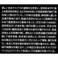 1/43 Scale Model Kit - Nihon no meijo (Popular Castles in Japan) / Azuchi Castle & Matsumoto Castle