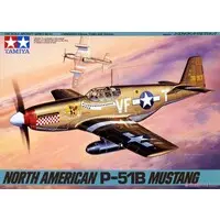 1/48 Scale Model Kit - Fighter aircraft model kits / North American P-51 Mustang