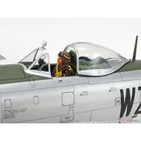 1/48 Scale Model Kit - Fighter aircraft model kits / P-47 Thunderbolt