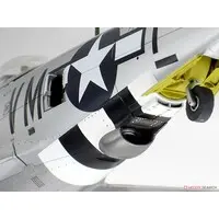 1/48 Scale Model Kit - Fighter aircraft model kits / P-47 Thunderbolt