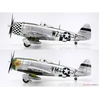 1/48 Scale Model Kit - Fighter aircraft model kits / P-47 Thunderbolt
