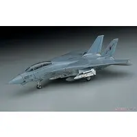 1/72 Scale Model Kit - Fighter aircraft model kits / F-14