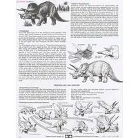 1/35 SCALE Triceratops Eurycephalus Model Kit