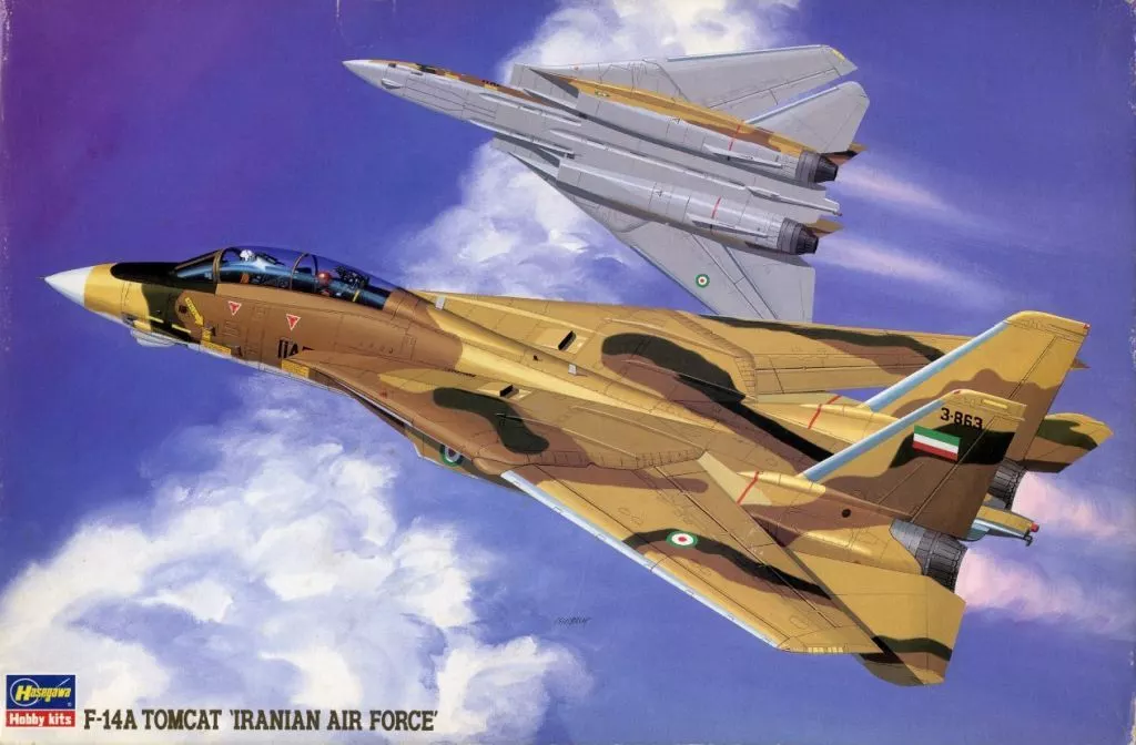 1/72 Scale Model Kit - Fighter aircraft model kits / F-14