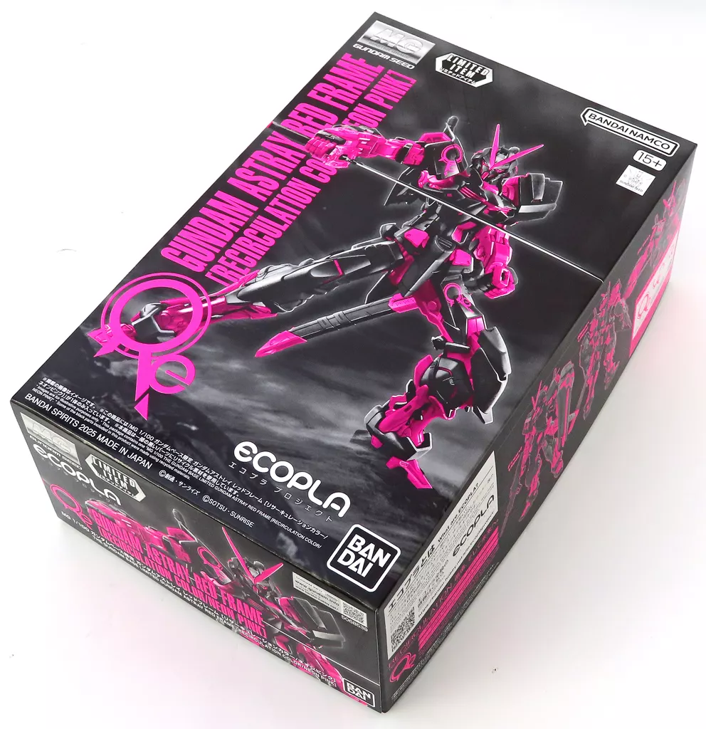 Gundam Models - NEW MOBILE REPORT GUNDAM WING / MBF-P02 Gundam Astray Red Frame