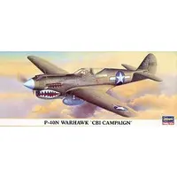 1/72 Scale Model Kit - Fighter aircraft model kits / Curtiss P-40 Warhawk