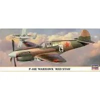 1/72 Scale Model Kit - Fighter aircraft model kits / Curtiss P-40 Warhawk
