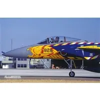 1/72 Scale Model Kit - Japan Self-Defense Forces / McDonnell Douglas F-15 Eagle
