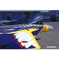 1/72 Scale Model Kit - Japan Self-Defense Forces / McDonnell Douglas F-15 Eagle