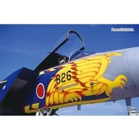1/72 Scale Model Kit - Japan Self-Defense Forces / McDonnell Douglas F-15 Eagle