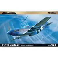 1/48 Scale Model Kit - Fighter aircraft model kits / North American P-51 Mustang