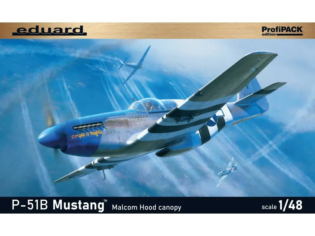 1/48 Scale Model Kit - Fighter aircraft model kits / North American P-51 Mustang