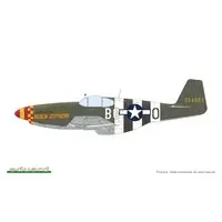 1/48 Scale Model Kit - Fighter aircraft model kits / North American P-51 Mustang
