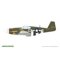 1/48 Scale Model Kit - Fighter aircraft model kits / North American P-51 Mustang