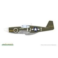 1/48 Scale Model Kit - Fighter aircraft model kits / North American P-51 Mustang