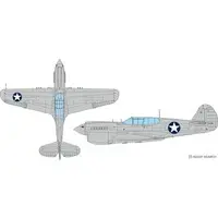1/48 Scale Model Kit - Fighter aircraft model kits / Curtiss P-40 Warhawk