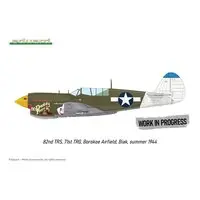 1/48 Scale Model Kit - Detail-Up Parts / Curtiss P-40 Warhawk