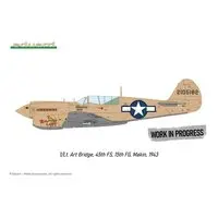 1/48 Scale Model Kit - Detail-Up Parts / Curtiss P-40 Warhawk