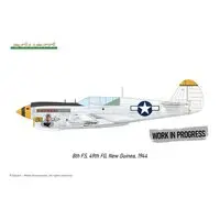 1/48 Scale Model Kit - Detail-Up Parts / Curtiss P-40 Warhawk