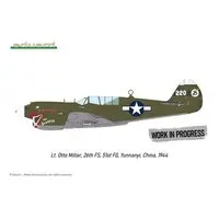 1/48 Scale Model Kit - Detail-Up Parts / Curtiss P-40 Warhawk