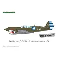 1/48 Scale Model Kit - Detail-Up Parts / Curtiss P-40 Warhawk