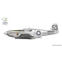 1/72 Scale Model Kit - Fighter aircraft model kits / North American P-51 Mustang