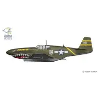 1/72 Scale Model Kit - Fighter aircraft model kits / North American P-51 Mustang