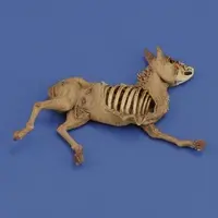 1/35 Scale Model Kit - People/Animals