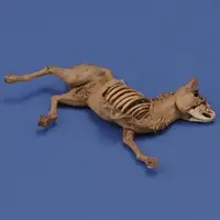 1/35 Scale Model Kit - People/Animals